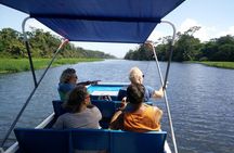 Tortuguero Canals Including Playa Bonita and Puerto Limon Highlights