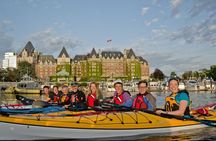 Victoria Harbour Kayak Tour