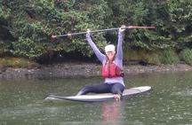 Victoria Harbour Stand-Up Paddleboard Tour