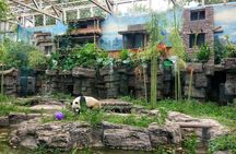 Beijing Half-Day Private Customized Tour: Visit Your Dream Spots