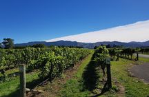 Taste the Valley Wine Tour in Marlborough with Wine Tasting