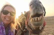 15 Days Marvelous Tour Package in Egypt