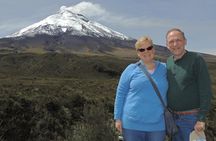 Cotopaxi Volcano and Colonial Hacienda Day Trip