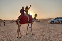 Dubai: Desert Safari 4x4 Dune with Camel Riding and Sandboarding
