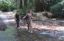 Fullday Tour of Pa-La-U Waterfall from Hua Hin including Lunch
