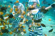Bali Ocean Walker