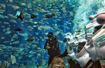 Bali Ocean Walker