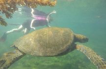  Enjoy the Best of Quito and Galapagos (3 Islands ) 8-Day Trip