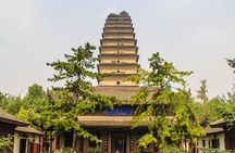 3 Days Xian Highlight Small Group Tour