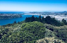 Shore Excursion: Dunedin City, Otago Peninsula, Castle Gardens & Olveston Tour