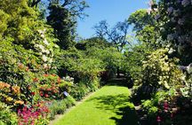 Otago Peninsula Scenery and Dunedin City Highlights Tour