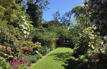 Half day Private Tour of Dunedin City Highlights and Peninsula Scenery