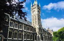 Dunedin City Highlights, Otago Peninsula Scenery & a Guided Penguin Reserve Tour
