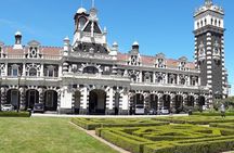 Half day Private Tour of Dunedin City Highlights and Peninsula Scenery