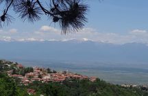 Kakheti wine Tour: Telavi-Kvareli-Signagi and Wine cellars