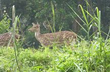 8 Days Luxury Nepal Tour