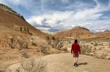 Altyn Emel National Park, Private tour, 2 days from Almaty