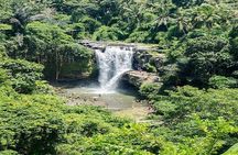 Bali Art Shopping and Culture Tour