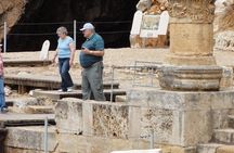 Tel Dan and Baniyas National Parks Private Tour 