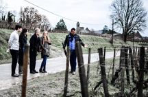 From Bordeaux : Saint Emilion Food and Wine Day Tour