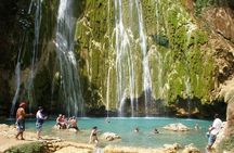 Samana and Miches BALLENAS