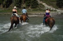 Horse Riding Experience in Marmaris with Transfer