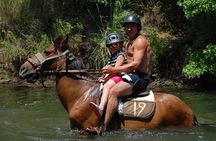 Horse Riding Experience in Marmaris with Transfer