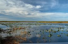 Air boat Ride and Nature Walk in Everglades National Park