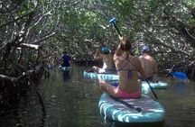 Paddle and Snorkel Tour