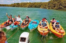 Paddle and Snorkel Tour