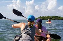 Paddle and Snorkel Tour