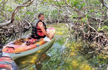 Paddle and Snorkel Tour