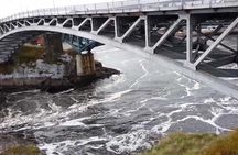 Fundy Coast to Fundy Shore Tour