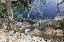 Tulum Adventure (Private, Full Day)