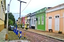The Highlights of Manaus in a Private City Tour 