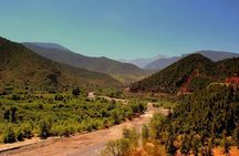Ourika Valley Day Trip Private