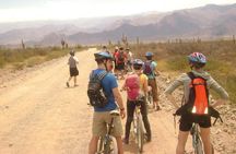 3-Day Tour of Cachi, Laguna Brealito and National Park Los Cardones