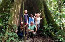 4-Day Trip: Cuyabeno Amazon Experience