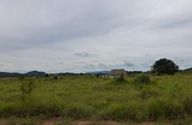 8-Day Rupununi Savanna and Kaieteur Water Falls Adventure from Georgetown