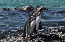 6-Day Galapagos Island Hopping Tour: Santa Fe, Santa Cruz and Los Tuneles