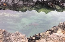 6-Day Galapagos Island Hopping Tour: Santa Fe, Santa Cruz and Los Tuneles