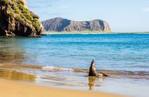 5-Day Galapagos Multisport: Biking, Hiking, and Snorkeling