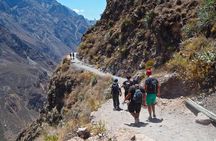 3-Day Backpacker Colca Canyon Trek from Arequipa