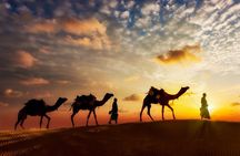 12-day Private Tour: Maharaja Rajasthan