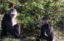 4 Days Shangri-La Circle Tour and Three Parallel Rivers Adventure Start from Shangrila