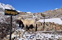 10-Day Annapurna Circuit Trek in Nepal