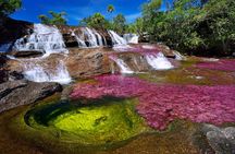 3-Day Caño Cristales (Rainbow River) from Bogotá