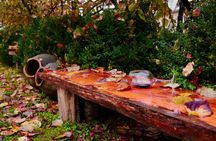 Two Days in Gorgeous Wine Region with Full board Meals and Tastings From Tbilisi