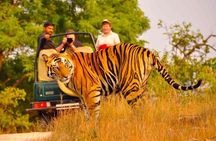 5 Days Golden Triangle Tour with Ranthambore Delhi Agra Jaipur 