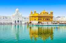 Amritsar Day Tour: Golden Temple and Jalliawala Bagh with Local Food